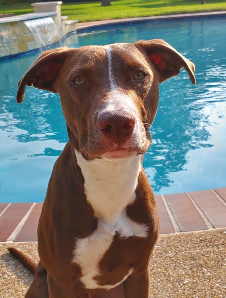 Cadbury