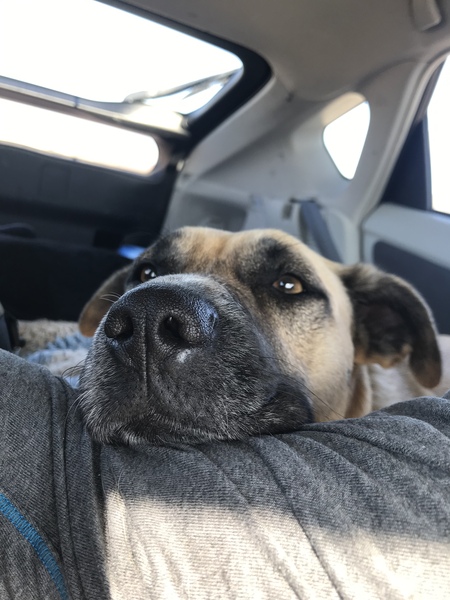 Luna