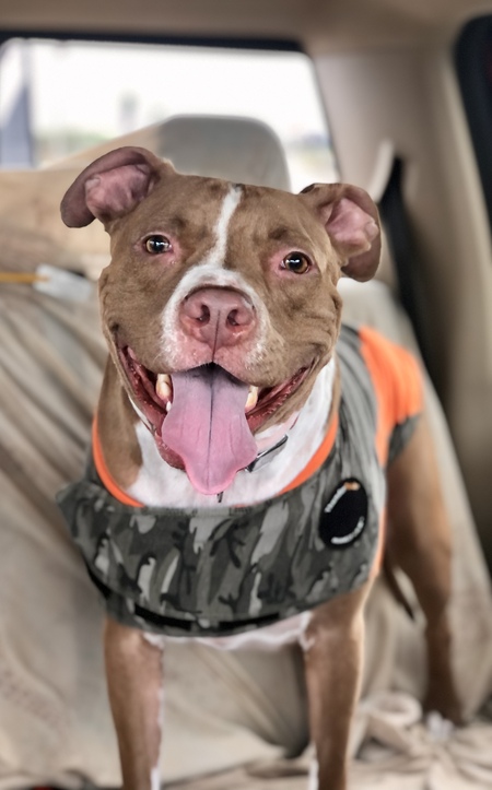 Ranger