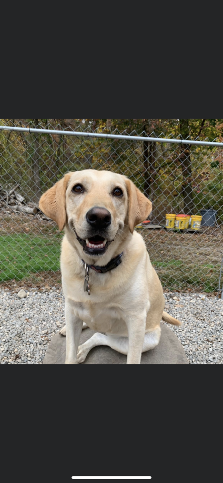 Sadie