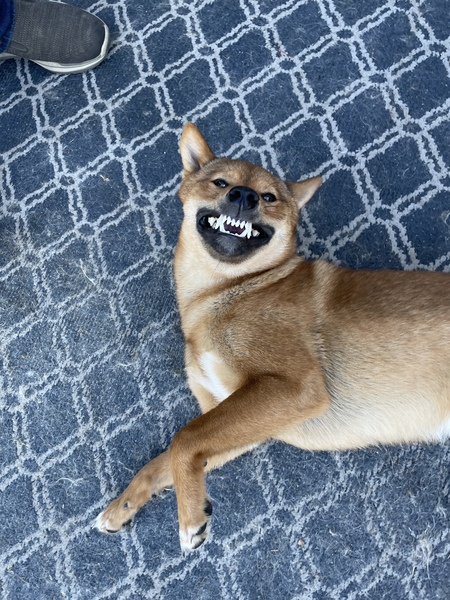 Diego