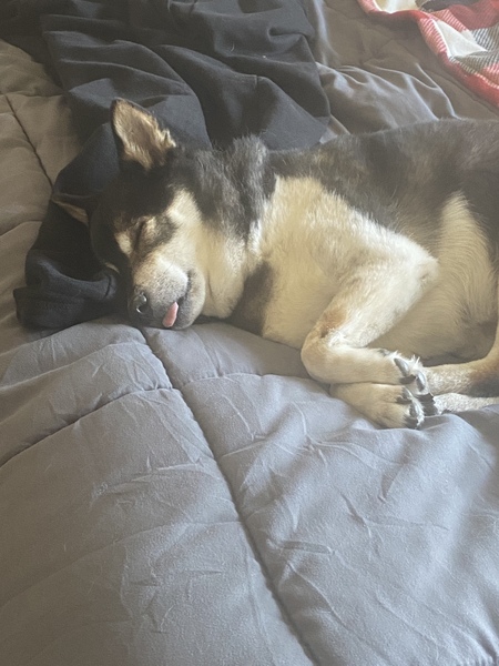 Duncan
