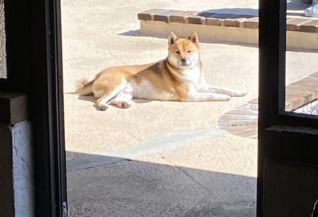 Gus