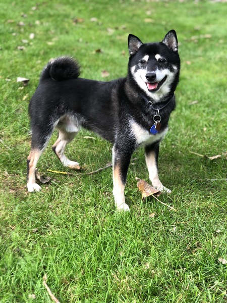 Jack