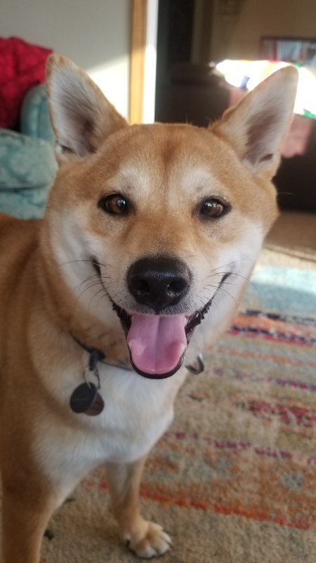 RIKU