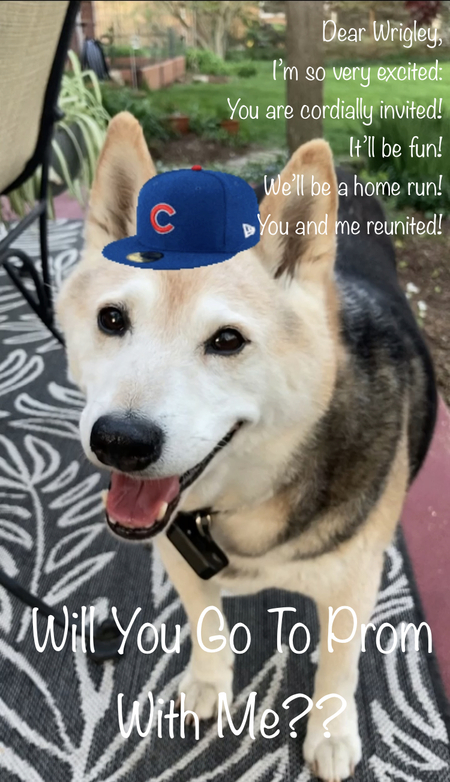 Hiro and Wrigley