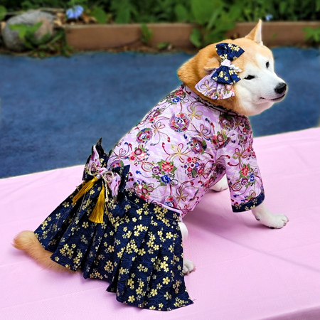 Suki