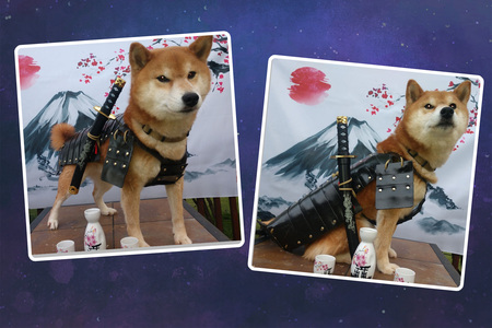 Samurai Billy 
