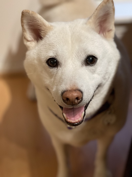 Emi