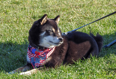 Mako