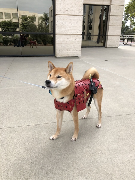 Milo