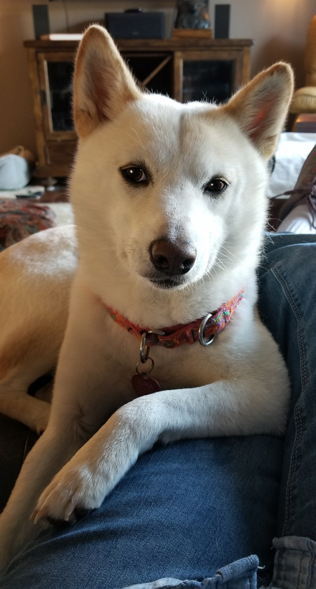 Luna