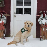 Entry image for Chico  