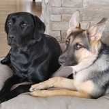 Entry image for Debbie and Kira