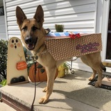 Entry image for Toto