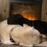 Entry image for Jenna and Yazzie