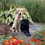 Entry image for Vicky and DeMarco