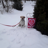 Entry image for Seely