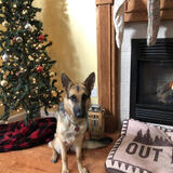 Entry image for Molly