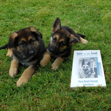 Entry image for Uno and Upton 
