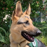 Entry image for Kelly