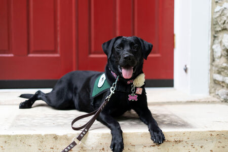 Entry image for Octavia. Clicking this image will show a larger photo