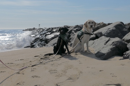 Entry image for Filhinha and Faelyn. Clicking this image will show a larger photo