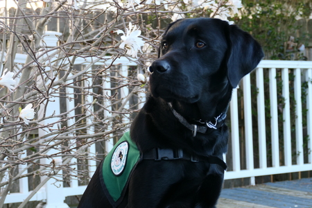 Entry image for Irwin. Clicking this image will show a larger photo