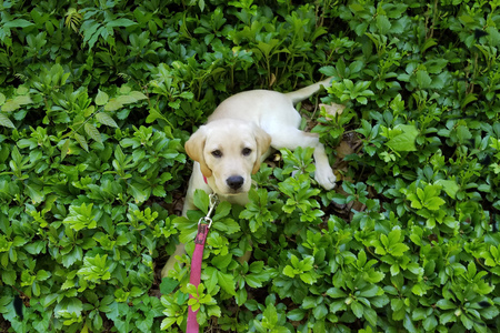 Entry image for Flora. Clicking this image will show a larger photo