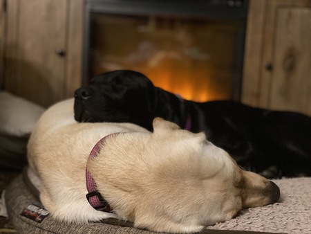 Entry image for Jenna and Yazzie. Clicking this image will show a larger photo