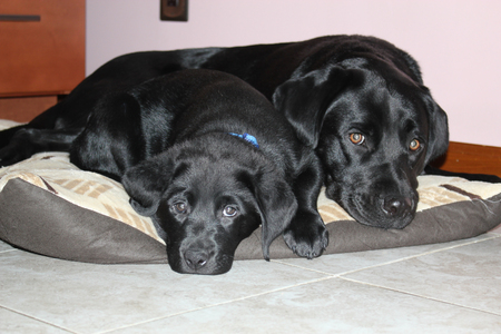 Entry image for Nate and Fresca. Clicking this image will show a larger photo