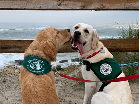 Entry image for Crusader and Kilo. Clicking this image will show a larger photo