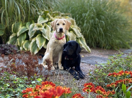 Entry image for Vicky and DeMarco. Clicking this image will show a larger photo