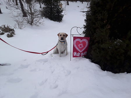 Entry image for Seely. Clicking this image will show a larger photo