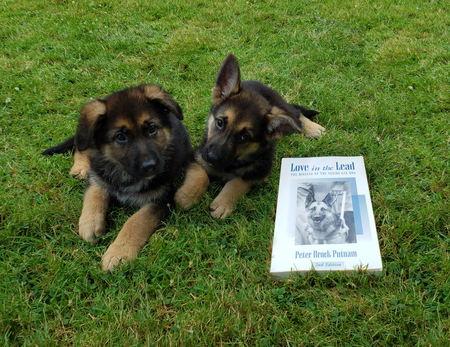 Entry image for Uno and Upton . Clicking this image will show a larger photo