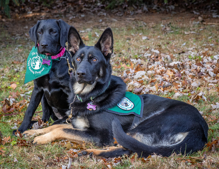 Entry image for Martyna and Oakley. Clicking this image will show a larger photo