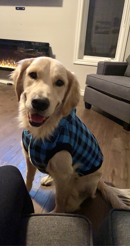 Jack
