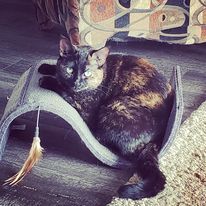 Gina