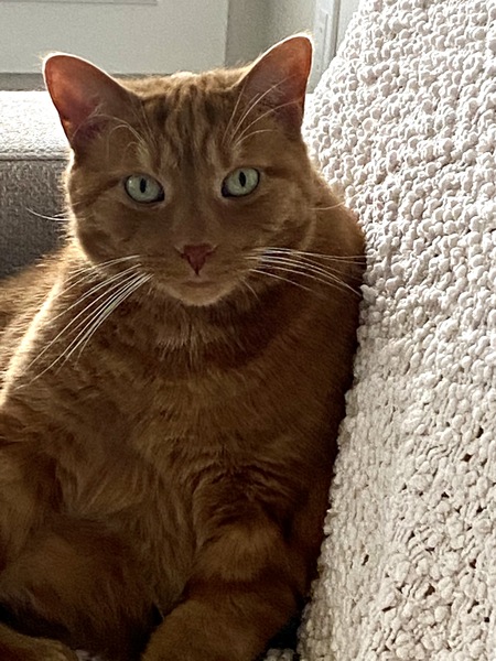 Milo