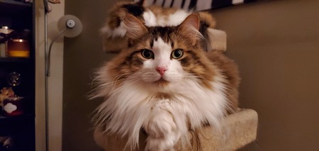 Tina