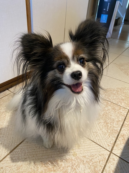 Max