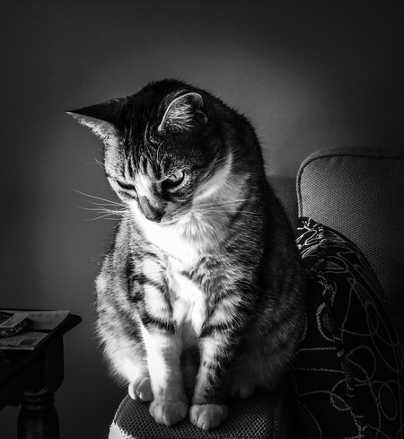 Luna