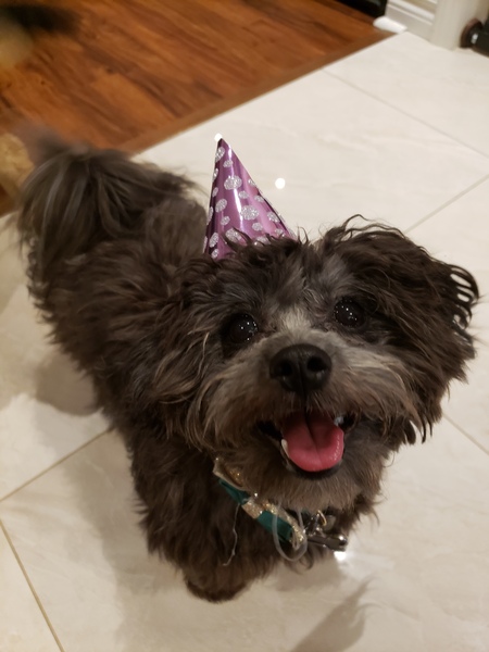 Gus