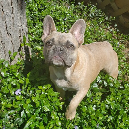 Letty