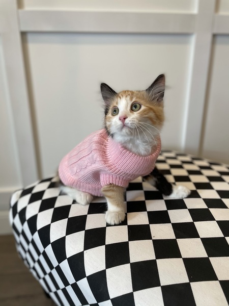 Rosie