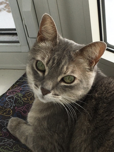 Mia