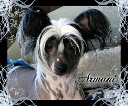Armani