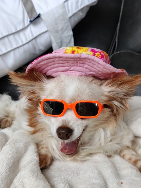 Gina