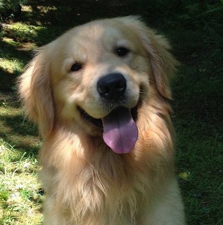 Grover