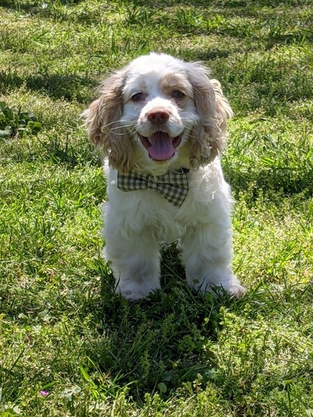 Marvin